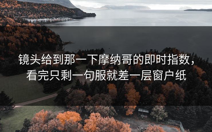 镜头给到那一下摩纳哥的即时指数，看完只剩一句服就差一层窗户纸