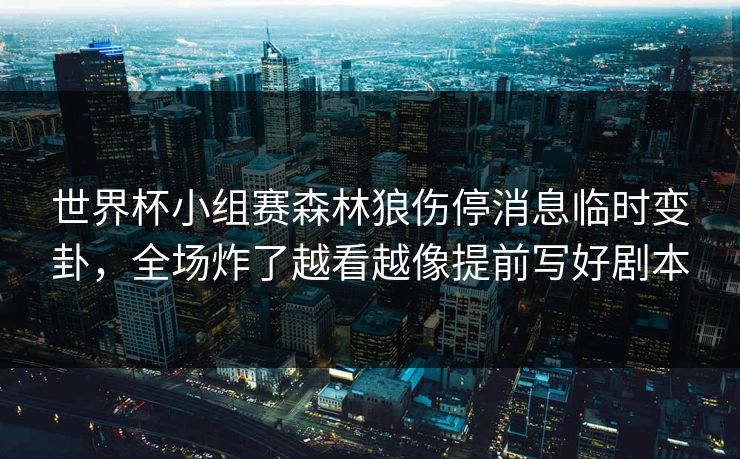 世界杯小组赛森林狼伤停消息临时变卦，全场炸了越看越像提前写好剧本