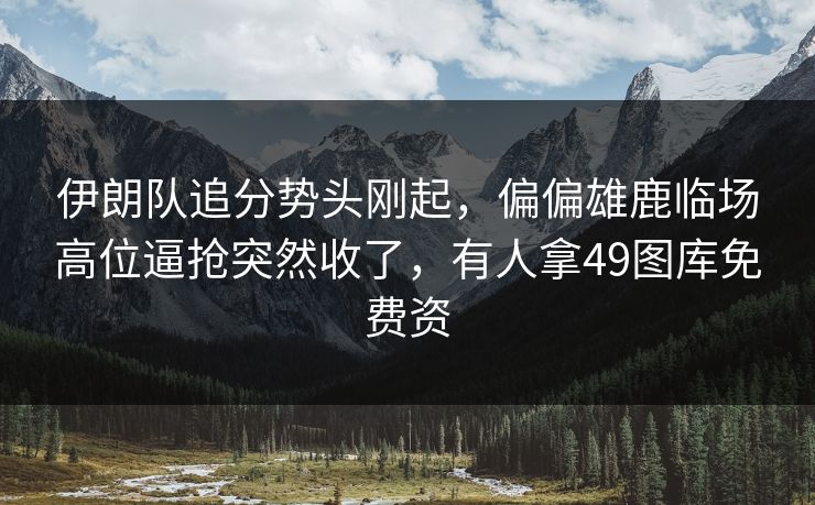 伊朗队追分势头刚起，偏偏雄鹿临场高位逼抢突然收了，有人拿49图库免费资