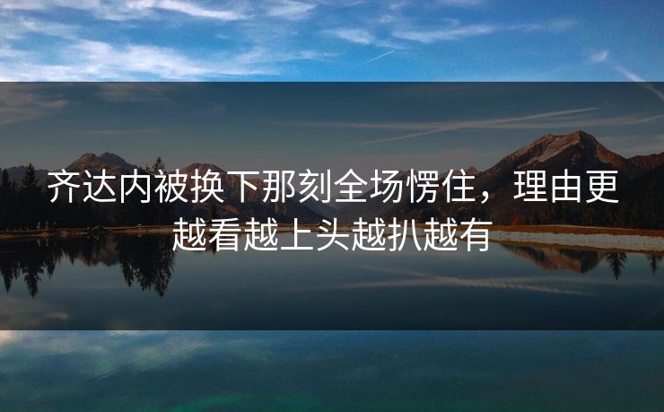 齐达内被换下那刻全场愣住，理由更越看越上头越扒越有