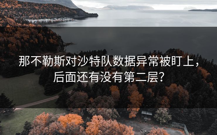 那不勒斯对沙特队数据异常被盯上，后面还有没有第二层？